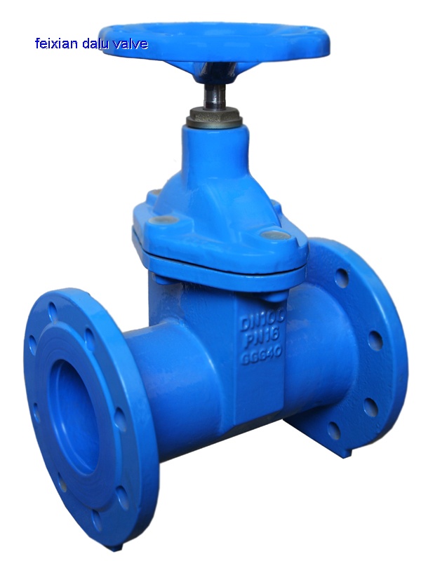 F5 Resilient Gate Valve