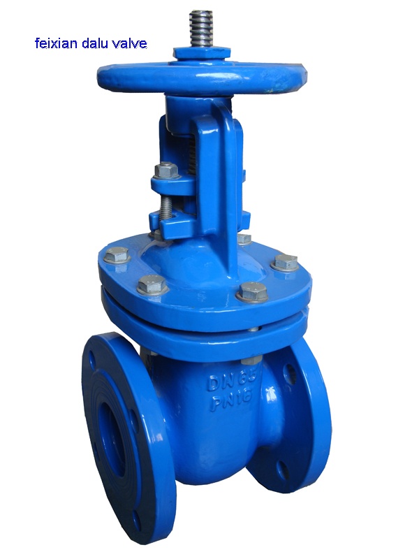F4 Metal Seat Gate Valve RS