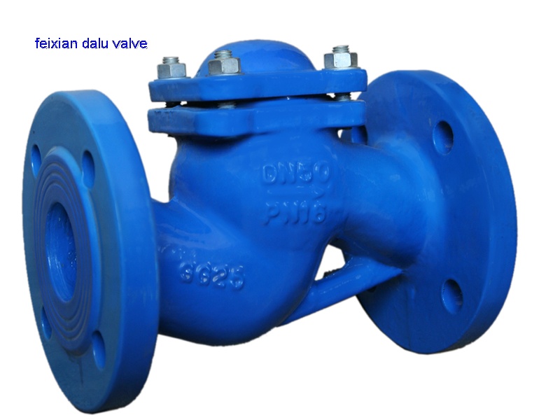 Lift Check Valve