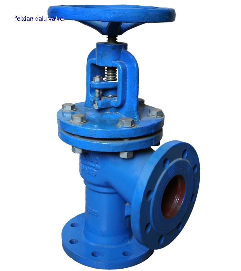 Angle Globe Check Valve